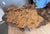 Handcrafted Burlwood Table - One of a Kind Statement Piece For Sale - Image 11 of 11