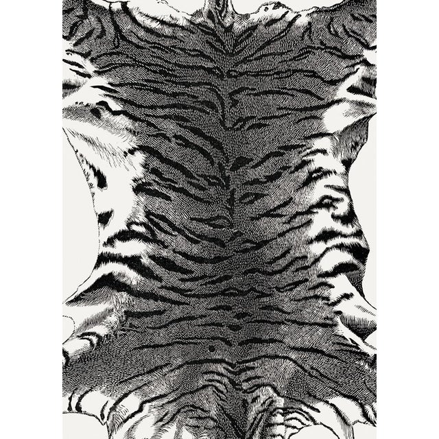 Fine Art Print of Vintage Tiger Animal Skin Illustration by Richard Lydekker. Animal Print For Sale In Miami - Image 6 of 6