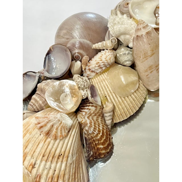 Vintage Coastal Oval Shell Encrusted Mirror For Sale - Image 4 of 14