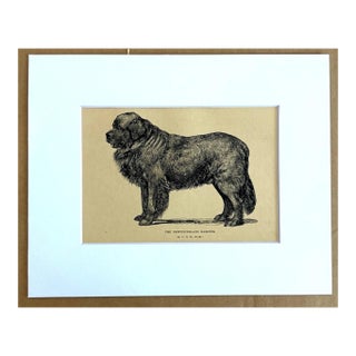 Antique 1890s Dog Print in 8 x 10 Mat: "The Newfoundland Mariner" For Sale