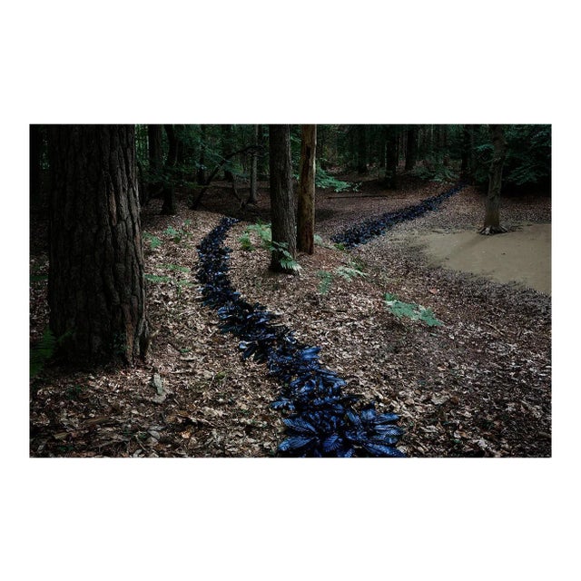 Come With Me 1, Ellie Davies, 2011 For Sale