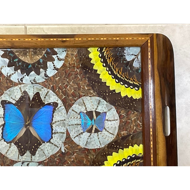 Large Butterfly Tray 29”.5 X 18” For Sale In Miami - Image 6 of 12