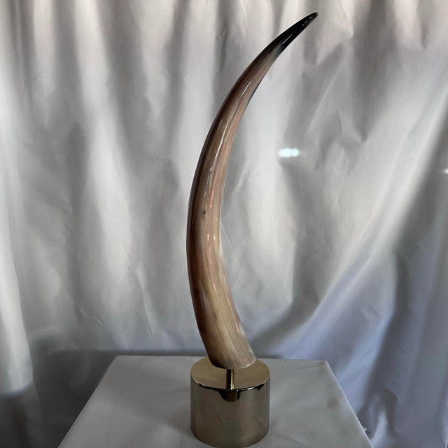 Camel Pair of Arteriors Stead Horn Sculptures With Polished Brass Base. For Sale - Image 8 of 10