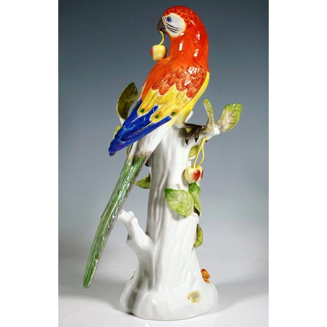 Parrot on Trunk with Cherries by J.J. Kaendler for Meissen, 1989 For Sale - Image 4 of 7
