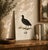 THE WILLIAM LEWIN WATERBIRDS & WADERS COLLECTION "The Coot" Introduce a striking anchor of historical British naturalist...