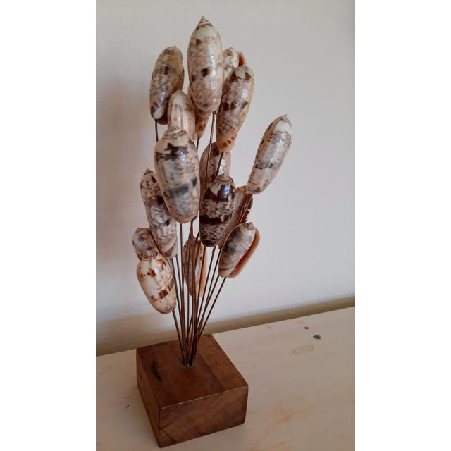 Nautical Mid Century Brutalist Shell Seashell Sculpture For Sale - Image 3 of 5