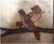 Early 20th Century Vintage Four-Paneled Chinese Coromandel-Style Room Divider Screen For Sale - Image 5 of 13
