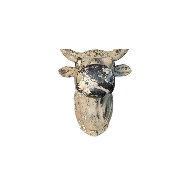 Late 19th Century Vintage Distressed Bull Head Wall Sculpture – Trade Sign 19th Century For Sale - Image 5 of 8