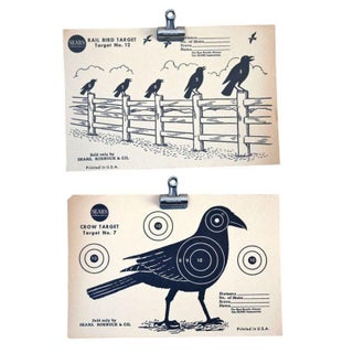 Vintage 1950s Crow Paper Shooting Targets - A Pair For Sale