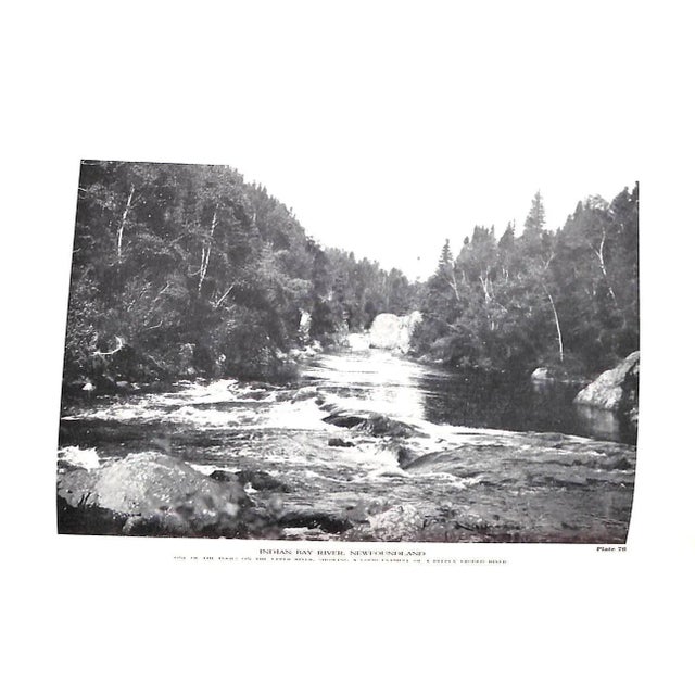 White "Salmon Fishing" 1945 Taverner, Eric For Sale - Image 8 of 15