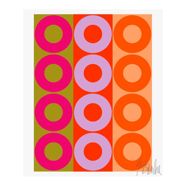 Pink and Orange Color Harmony Fine Art Print 30" X 40" by Liz Roache For Sale