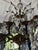Vintage Chandelier-Absolutely Extraordinary Spanish Brass Chandelier With Faceted Crystals For Sale - Image 12 of 14