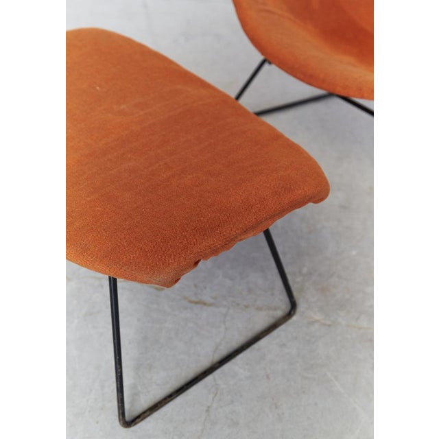 Set of Bird Chair and Ottoman for Knoll, 1960s For Sale - Image 18 of 18