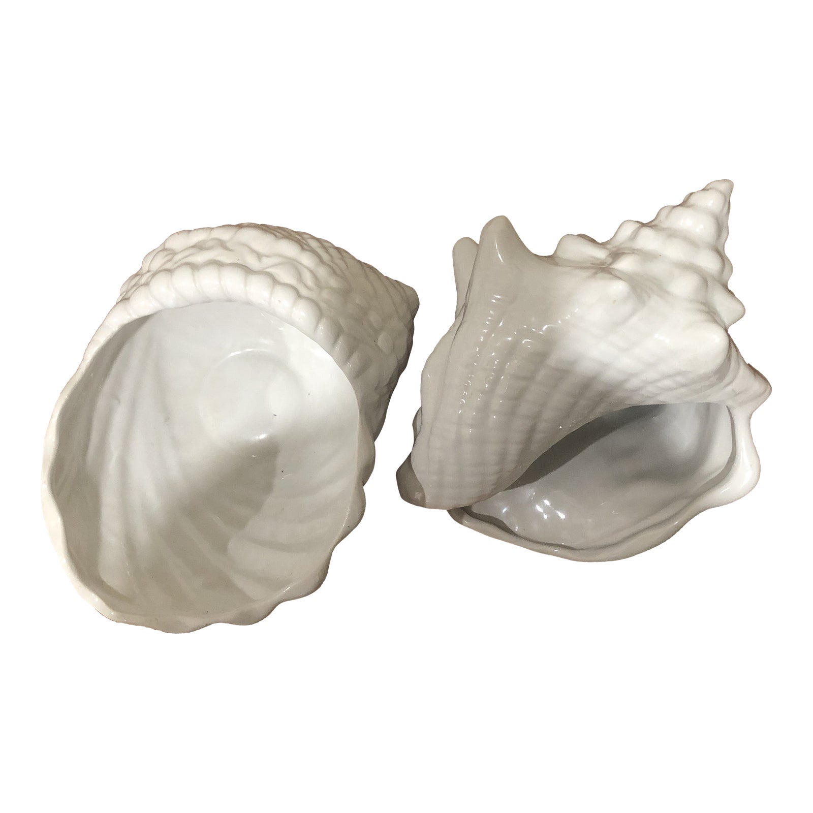 Late 20th Century Pearl White Conch Shells Cachepots Set of 2 Chairish