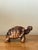 Vintage Boho Carved Wood Turtle For Sale - Image 4 of 12