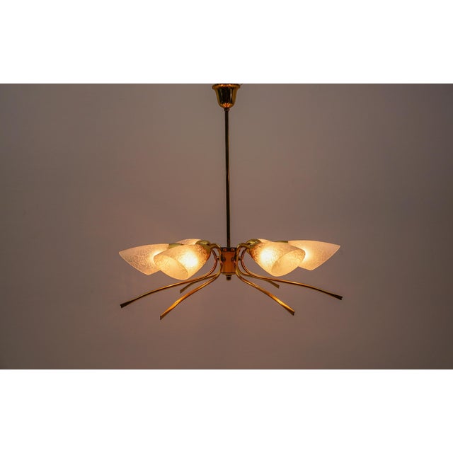 Mid-Century Modern Six-Armed Brass Sputnik Lamp, 1950s For Sale - Image 9 of 13