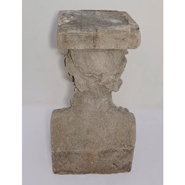 Gray Pedestals Antique Cast Stone Figural Bust and Foliate Design - A Pair For Sale - Image 8 of 11