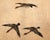 Japanese Showa Four-Panel Screen Wild Geese Autumn Landscape For Sale - Image 14 of 18