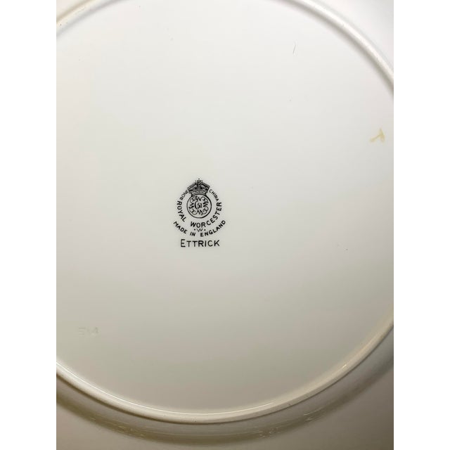 1950s 1950s Royal Worcester, Ettrick Service Plates, or Dinner Plates - Set of 12 For Sale - Image 5 of 5