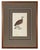 Wood 1828 French Raptor Gallery by Jean-Charles Werner | Set of 6 Hand-Colored Lithographs, Framed For Sale - Image 7 of 12