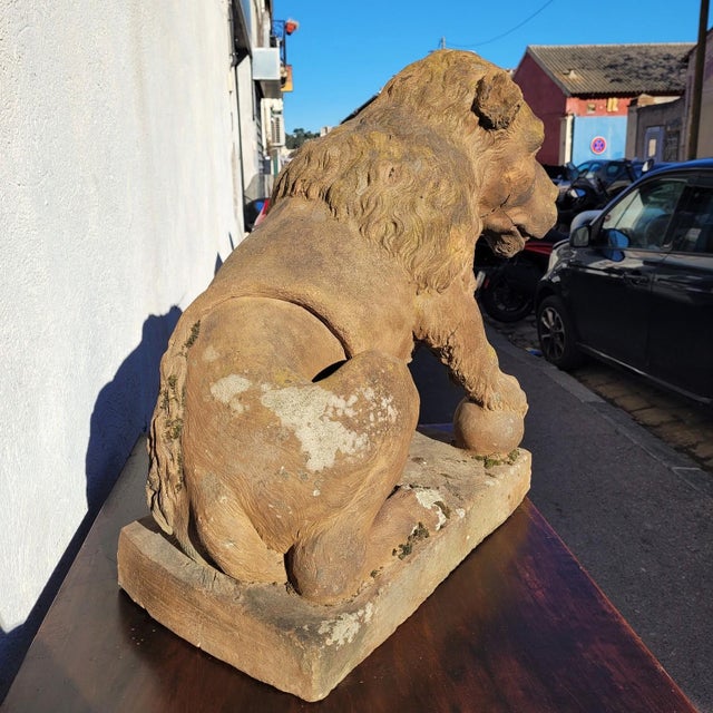 Lion Sculpture in Terracotta, 1800s For Sale - Image 9 of 18