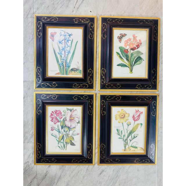 Vintage Chelsea House Prints, Set of 4 For Sale - Image 9 of 10