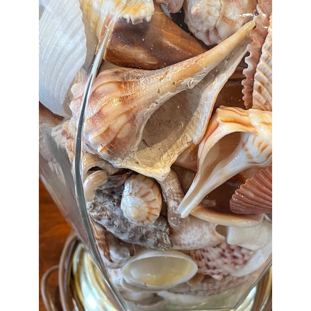 Vintage Coastal Glass Ginger Jar Shell Lamps - Five Available For Sale In Madison - Image 6 of 8