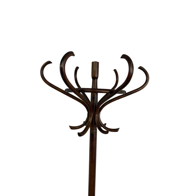 Antique Handcrafted Bentwood Coat Rack and Hat Stand by Michael Thonet, 1900 For Sale - Image 6 of 10