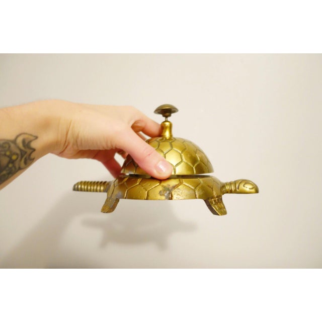 Brass Turtle Hospitality Bell Chairish