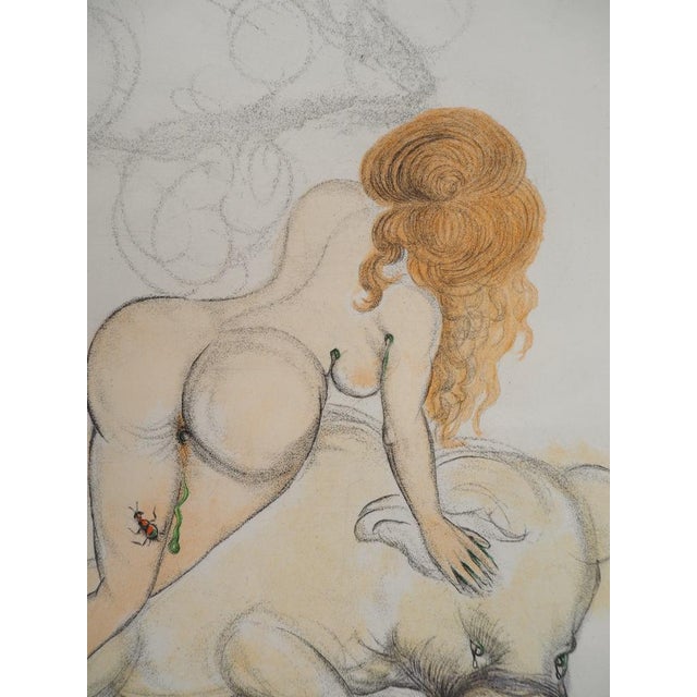 Salvador Dali, Casanova, The Woman and the Pig with Truffles, Original Signed Etching For Sale - Image 4 of 6