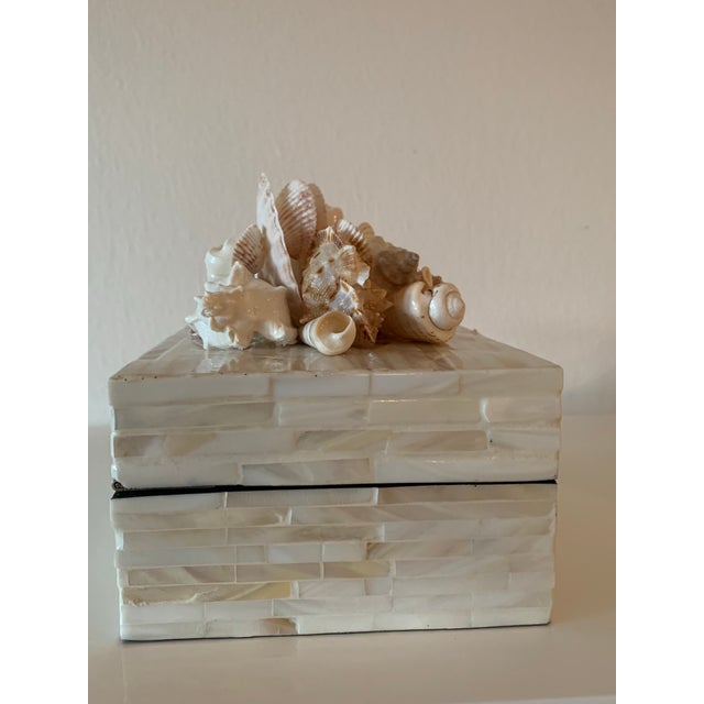2020s Decorative Shell Box For Sale - Image 5 of 5