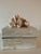 2020s Decorative Shell Box For Sale - Image 5 of 5
