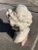 Off-white Bust of 19th Century French Woman on Cube Marble Mount After Grinam Niam Paris For Sale - Image 8 of 13