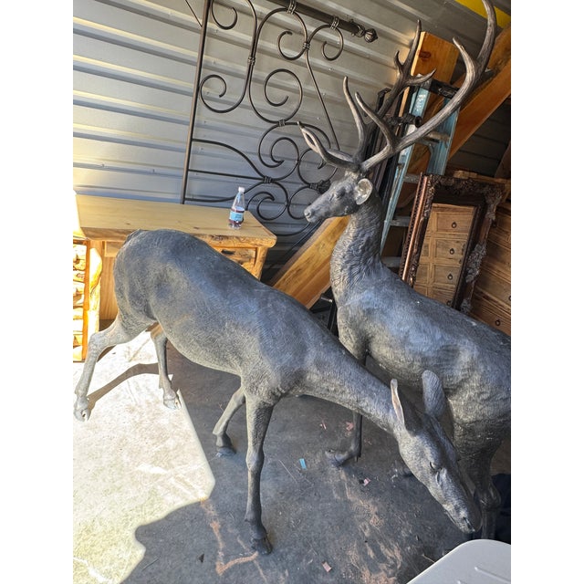 Late 20th Century Life Size Bronze Cast Buck and Doe Deer Statues, 2 Pieces For Sale In Palm Springs - Image 6 of 12