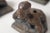 Metal Surrealist Bronze Sculpture Act of Female and Male Signed Candle Holders , 1980 For Sale - Image 7 of 15