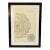 Mid-20th Century Original Maison Jansen Architectural Detail Pencil Drawing For Sale