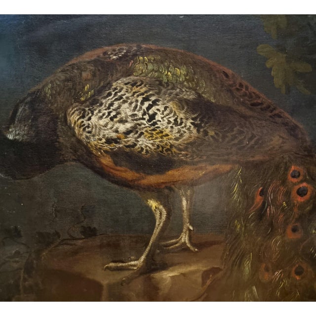 Baldassarre de Caro, Still Life with Peacock, 1700, Oil on Canvas For Sale - Image 8 of 13