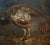 Baldassarre de Caro, Still Life with Peacock, 1700, Oil on Canvas For Sale - Image 8 of 13
