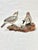 Vintage Hand-Carved & Painted Wooden House Sparrow Bird Sculpture on Driftwood Base For Sale - Image 4 of 12
