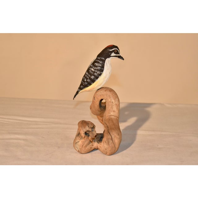 1960s Nc Hand-Carving of a Woodpecker Driftwood, Circa 1960 For Sale - Image 5 of 6