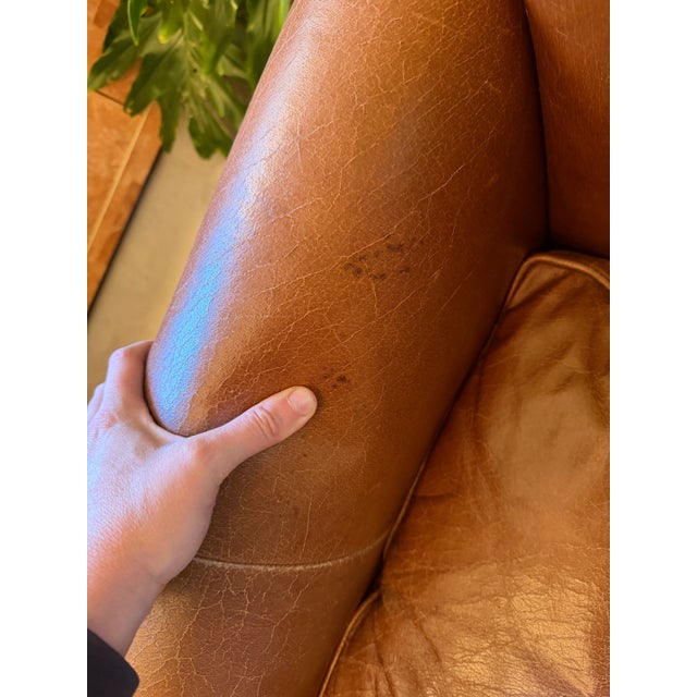 Animal Skin William Alan for Abc Carpet and Home Traditional Brown Leather Club Chairs Tufted Club Chair For Sale - Image 7 of 12