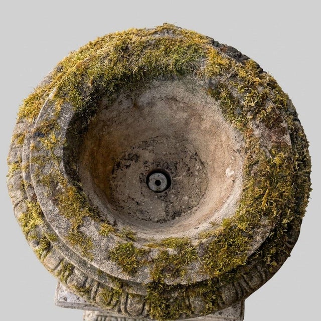 English Garden Basin on Patinated Stone Pedestal, 1920s For Sale - Image 9 of 16