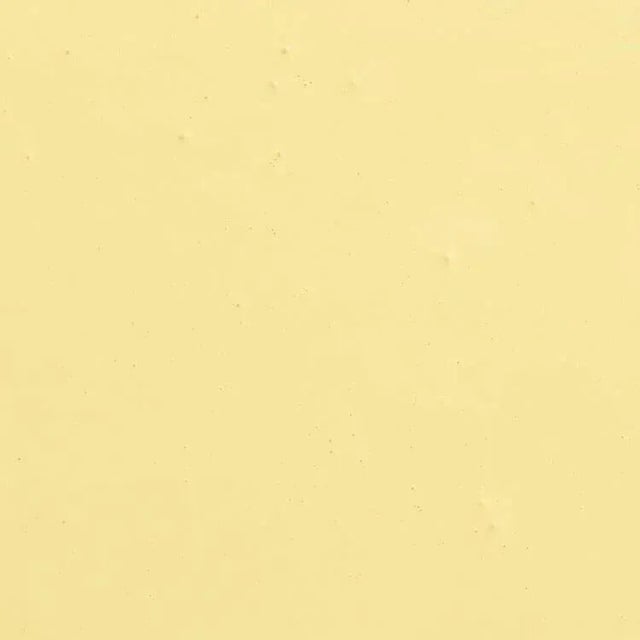 Contemporary BACKDROP Standard Finish Interior Paint in Disco Nap (Light Acid-Yellow) - 1 Gallon For Sale - Image 3 of 5
