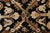 Doris Leslie Blau Antique Agra Indian Beige Runner - c. 1920 (Size Adjusted) For Sale In New York - Image 6 of 9