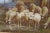Early 20th Century Assteyn Sheep Grazing Countryside Landscape OIl Painting on Canvas 49" For Sale - Image 5 of 12