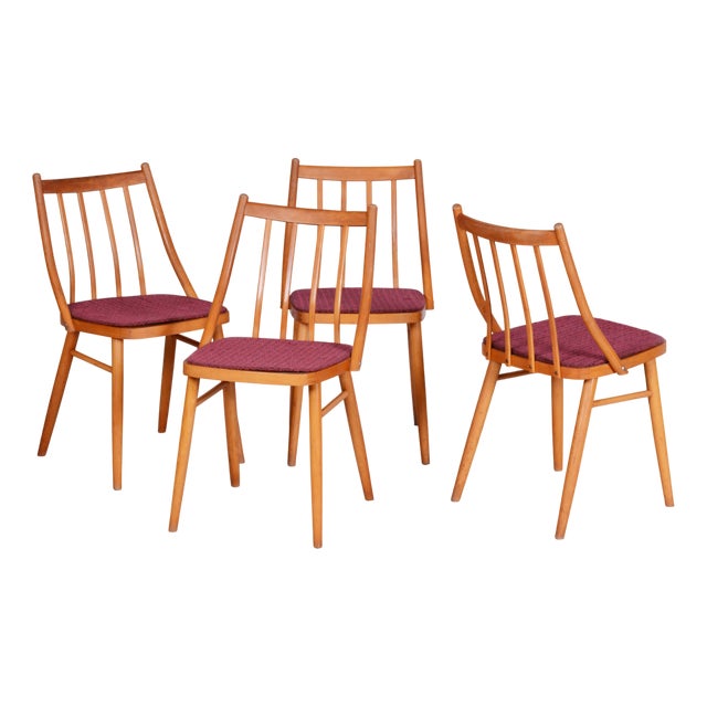 Mid-Century Modern Chairs by Antonín Šuman, 1960s, Set of 4 For Sale