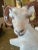 Decorative glazed terra cotta rams. Made in Italy. Beautiful features and soft colors
