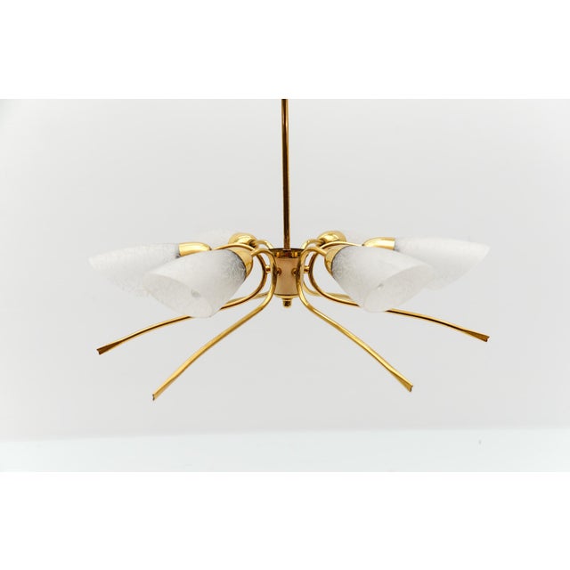 Mid-Century Modern Six-Armed Brass Sputnik Lamp, 1950s For Sale - Image 6 of 13