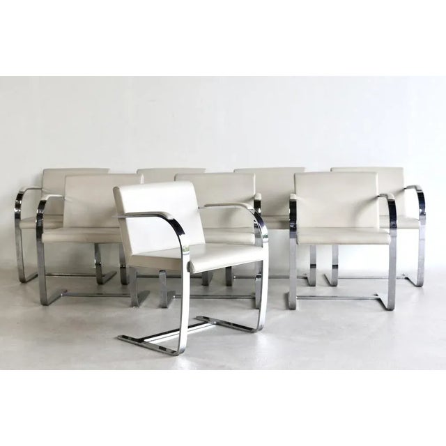 Beige Brno Armchairs attributed to Mies van der Rohe for Knoll, USA, 1980s, Set of 8 For Sale - Image 8 of 9