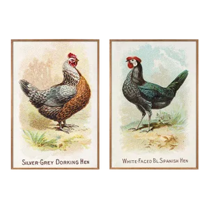 Reproduction Farmhouse Hen Print Set - 24" X 36" Set of Two
